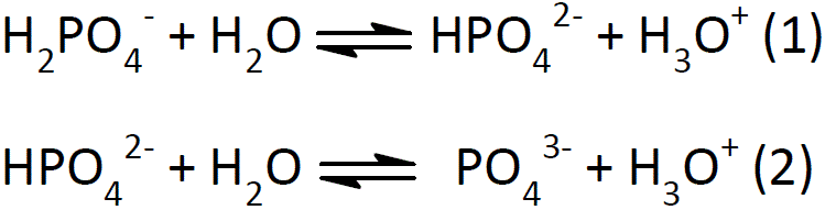 Abbildung 19: Überlagerte Gleichgewichte im Phosphatpuffer image