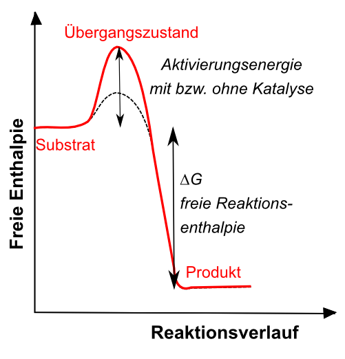 Katalysator Chemisches Gleichgewicht und