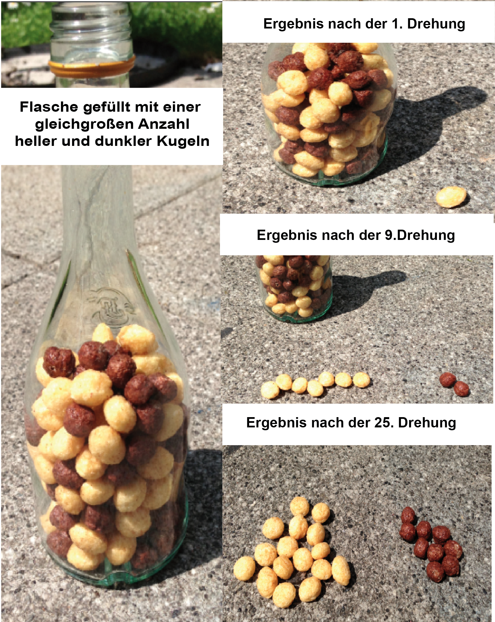 Flaschenhalsexperiment. Wie im Text beschrieben ist es vom Zufall abhängig, wie das Verhältnis dunkler zu heller Kugeln aussehen wird! Hier ermitteln wir nach 25 Drehungen der Flasche x weiss und y... Flaschenhalsexperiment. Wie im Text beschrieben ist es vom Zufall abhängig, wie das Verhältnis dunkler zu heller Kugeln aussehen wird! Hier ermitteln wir nach 25 Drehungen der Flasche x weiss und y...