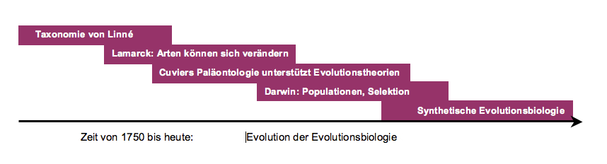 Entwicklung der Evolutionsbiologie Entwicklung der Evolutionsbiologie
