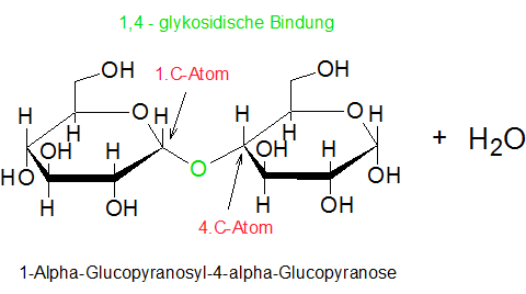Alpha glykosidische bindung