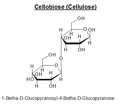 Dissacharid der Cellulose (Strukturpolymer in der Zellwand der Pflanzen) image