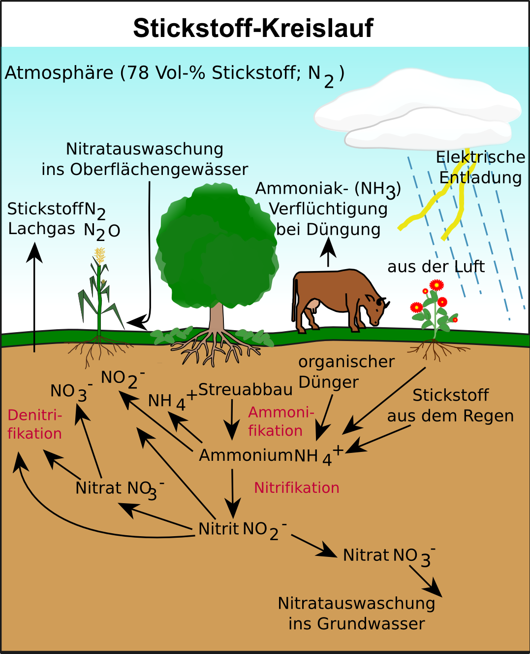 AbiturVorbereitung online