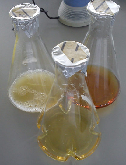 Vorbereitungen sind für jedes Experiment zu treffen. Hier z.B. die sterile Herstellung von Wachstumsmedien für Bakterien Vorbereitungen sind für jedes Experiment zu treffen. Hier z.B. die sterile Herstellung von Wachstumsmedien für Bakterien.