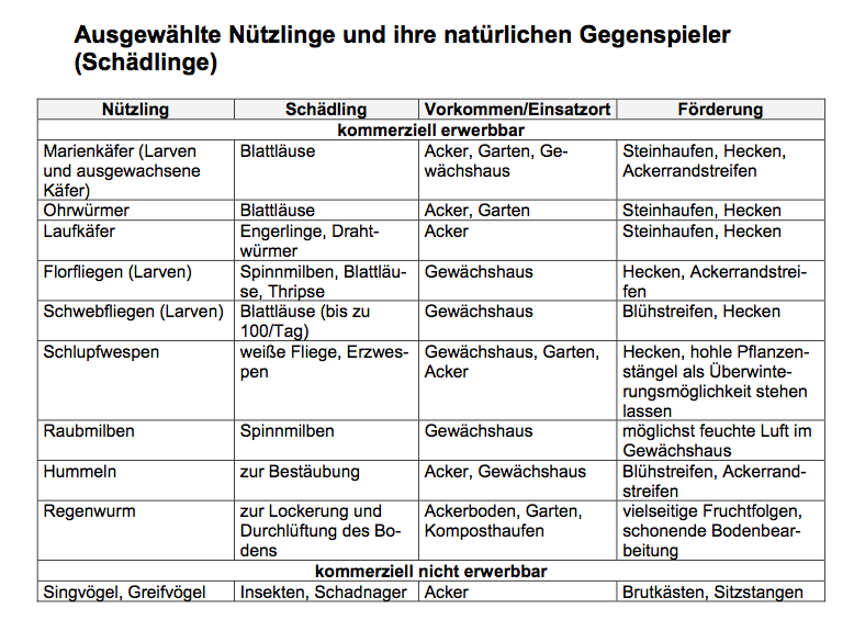 Nützlinge und Schädlinge: im ökologischen Landbau können die natürlichen Nützlinge gezielt eingesetzt werden. (Mit freundlicher Genehmigung von Bioland).