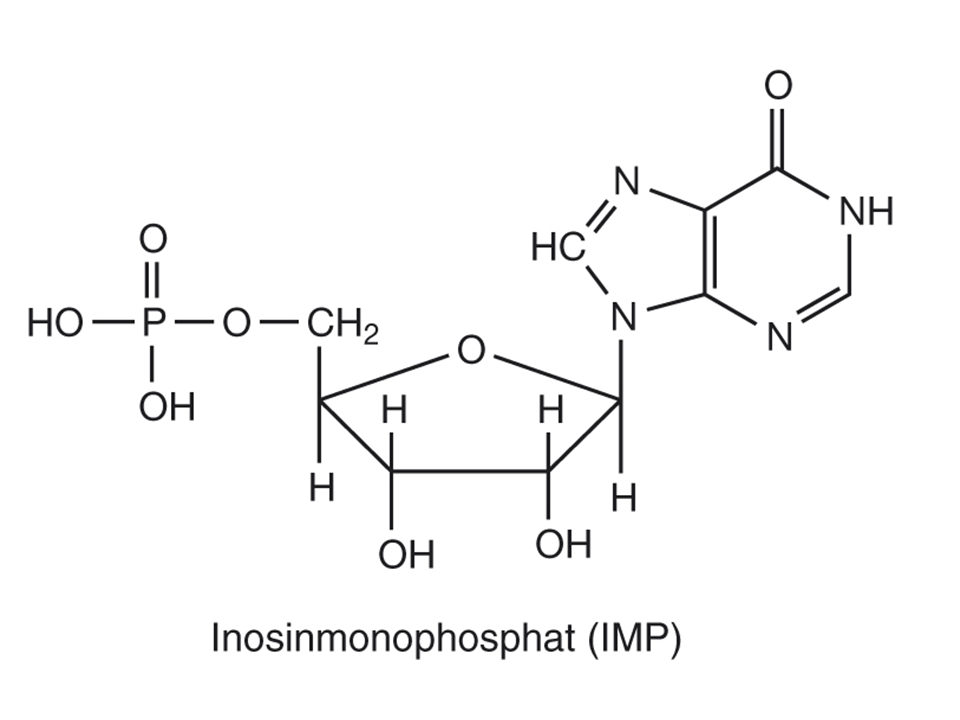 Inosinmonophosphat - IMP image