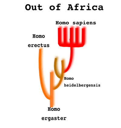 Abbildung 71: Out of Africa. Aufgrund von Fossilienfunden und der Analyse mitochondrialer DNA besteht derzeit die Hypothese, dass der Mensch seinen Ursprung in Afrika hat und sich erst dann über den kompletten Erdball ausbreiten konnte.
