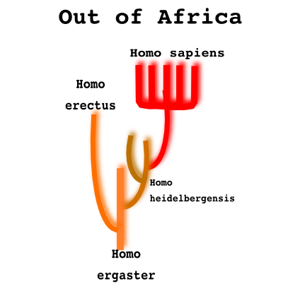 Abbildung 71: Out of Africa. Aufgrund von Fossilienfunden und der Analyse mitochondrialer DNA besteht derzeit die Hypothese, dass der Mensch seinen Ursprung in Afrika hat und sich erst dann Ã¼ber den kompletten Erdball ausbreiten konnte.