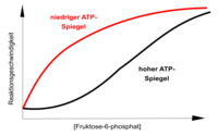 Die enzymatische Aktivit�t der PFK l�sst sich deutlich beeinflussen. So kann die PFK durch ATP gehemmt, durch Fruktose-2,6-bisphosphat aktiviert werden. Beide Liganden binden au�erhalb des aktiven Zentrums! Die maximale Enzymgeschwindigkeit wird beeinflusst. Vergleichen Sie diese Grafik bitte mit der nichtkompetitiven Hemmung eines Enzyms!
