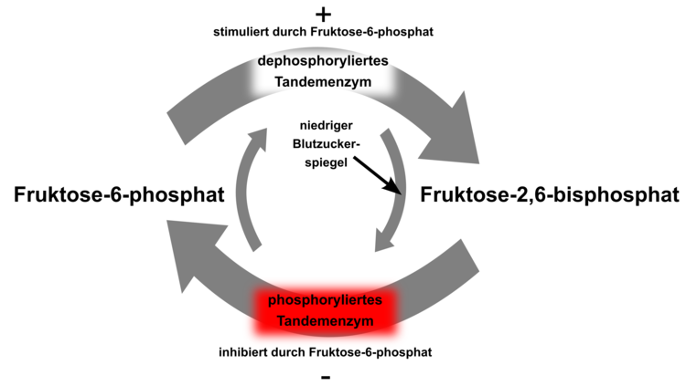 PFK: