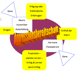 MÃƒÂ¶gliche Ursachen der Aggression beim Menschen.  Es gibt eine genetische Komponente (Gene und ihre Genprodukte), aber auch einen sehr deutlichen EinfluÃƒÂŸ der Umwelt (gelbe BlÃƒÂ¶cke).