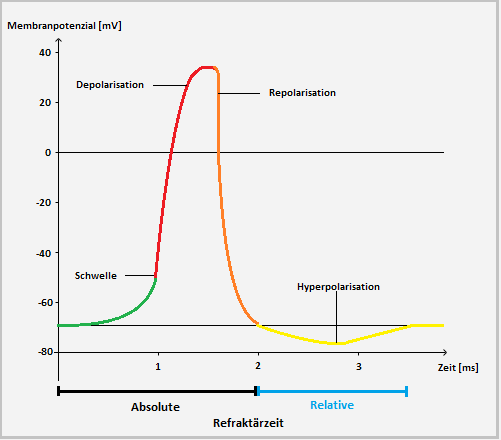 Bitte Beschreibung eingeben