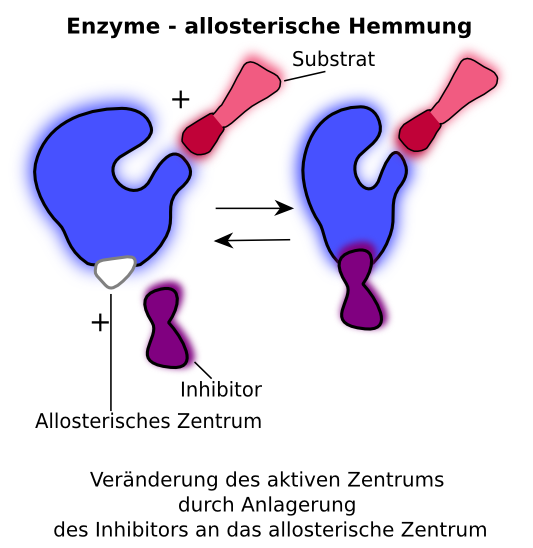 Allosterische Hemmung und nicht-kompetitive Hemmung kÃƒÂ¶nnen vom Mechanismus her gleich gesetzt werden. Der Inhibitor bindet ausserhalb des aktiven Zentrums, verÃƒÂ¤ndert es aber so, dass die AktivitÃƒÂ¤t des Enzyms herabgesetzt wird. Es gibt ebenso den Fall der allosterischen Aktivierung. Auch hier bindet ein MolekÃƒÂ¼l (dann Aktivator genannt) an das Enzym.