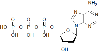 Adenosintrophsophat