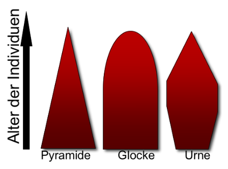 Formen der Altersstruktur in der Bevölkerung. Die 'Bevölkerungspyramide' kann die Form einer Pyramide, einer Glocke oder einer Urne annehmen.
