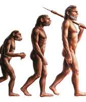 Zusammenfassung: Evolution des Menschen