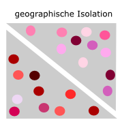 Räumliche Trennung führt zur Bildung neuer Arten.