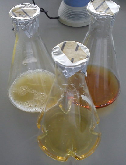 Vorbereitungen sind für jedes Experiment zu treffen. Hier z.B. die sterile Herstellung von Wachstumsmedien für Bakterien.