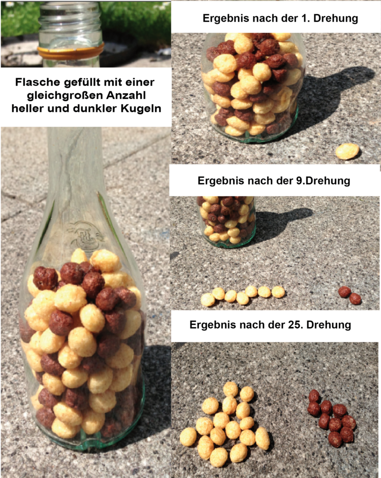 Flaschenhalsexperiment. Wie im Text beschrieben ist es vom Zufall abhängig, wie das Verhältnis dunkler zu heller Kugeln aussehen wird! Hier ermitteln wir nach 25 Drehungen der Flasche x weiss und y...