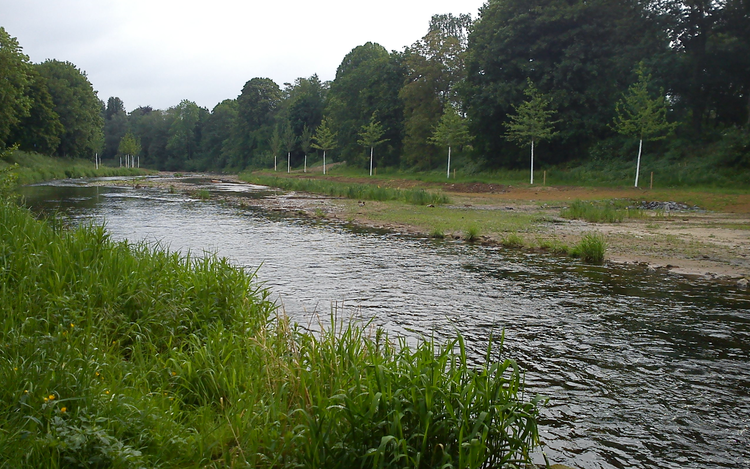 Flußlauf der Leine bei Göttingen -> das Fachgebiet der Ökologie untersucht das Zusammenspiel verschiedenster Lebewesen zum Jetzt-Zeitpunkt. Flußlauf der Leine bei Göttingen -> das Fachgebiet der Ökologie untersucht das Zusammenspiel verschiedenster Lebewesen zum Jetzt-Zeitpunkt.