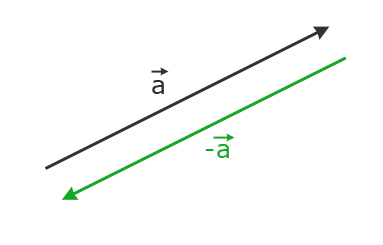 Vektor und Gegenvektor