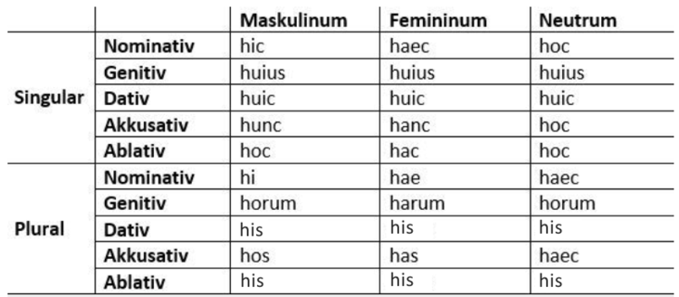 Hic Haec Hoc Formen Beispiele Abitur Vorbereitung