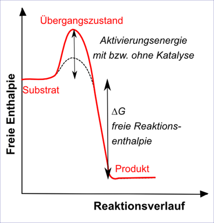 Energiediagramm Katalyse