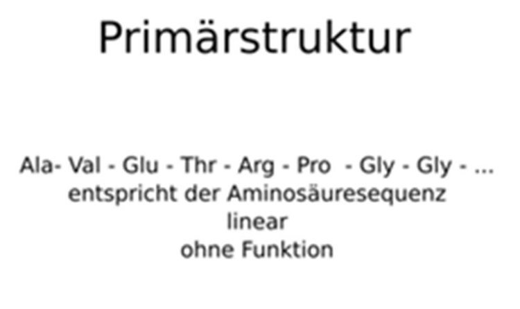 Primärstruktur