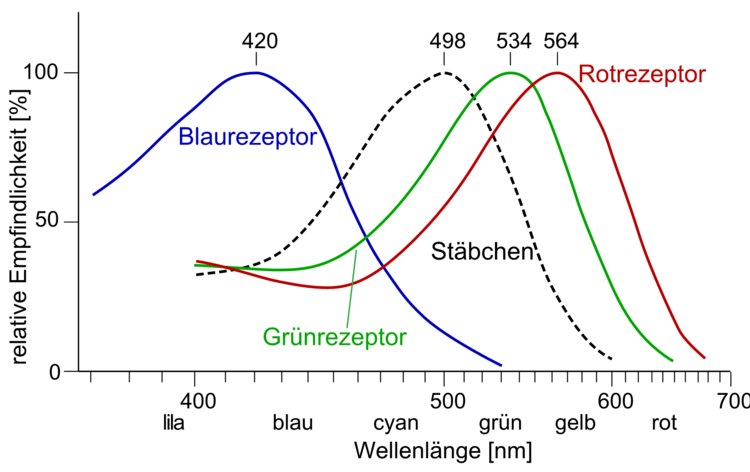 lichtrezeptoren Cone-response-de.emf