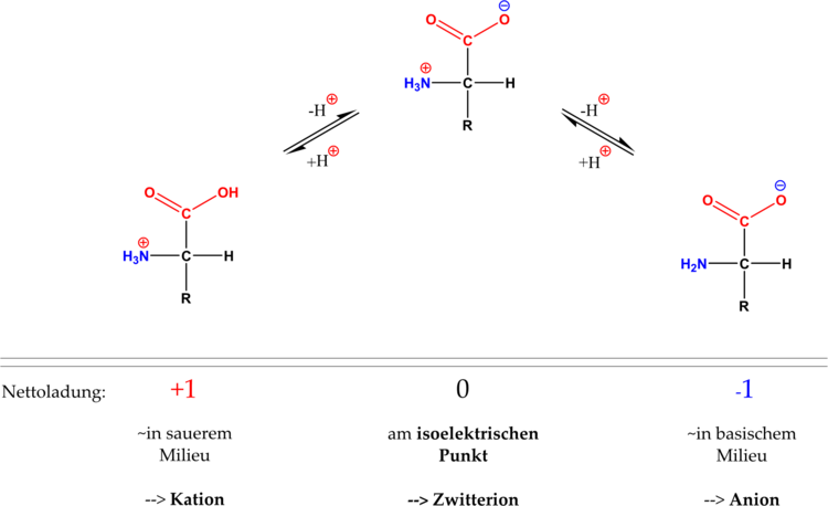 SÃƒÂ¤ure-Base-Verhalten von AS