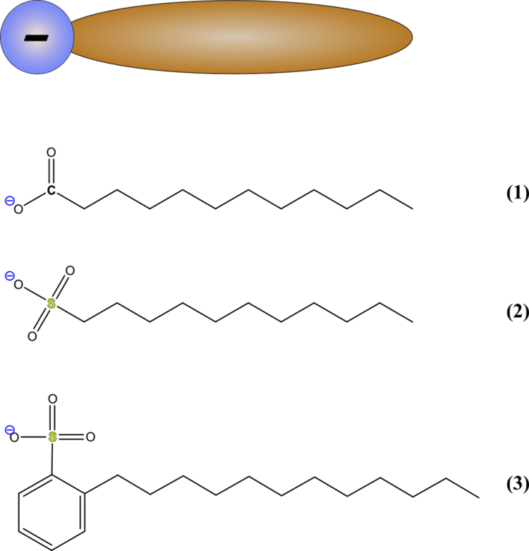 image001-93 aniontensi.png
