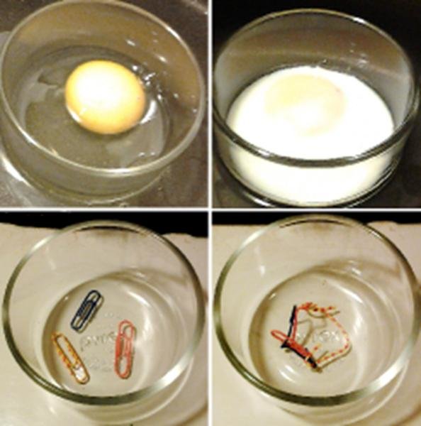 Proteine im Ei denaturieren durch Hitze, die Broklammern bilden zu dem Vorgang eine Analogie auf Moleklebene
