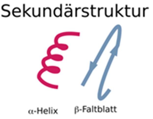 Sekundärstruktur