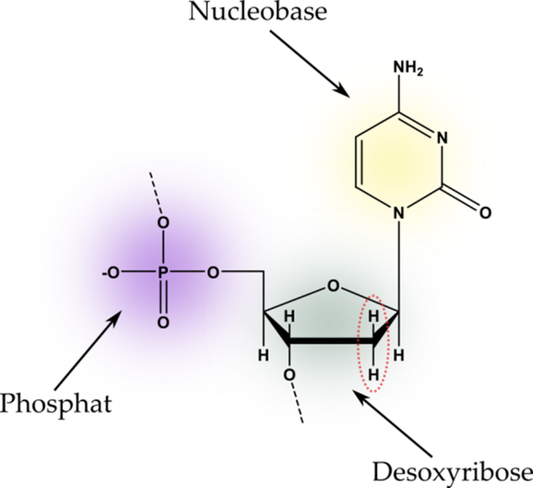 CDnucleo2.png