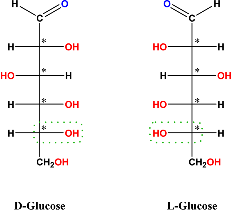 D- und L-Glucose