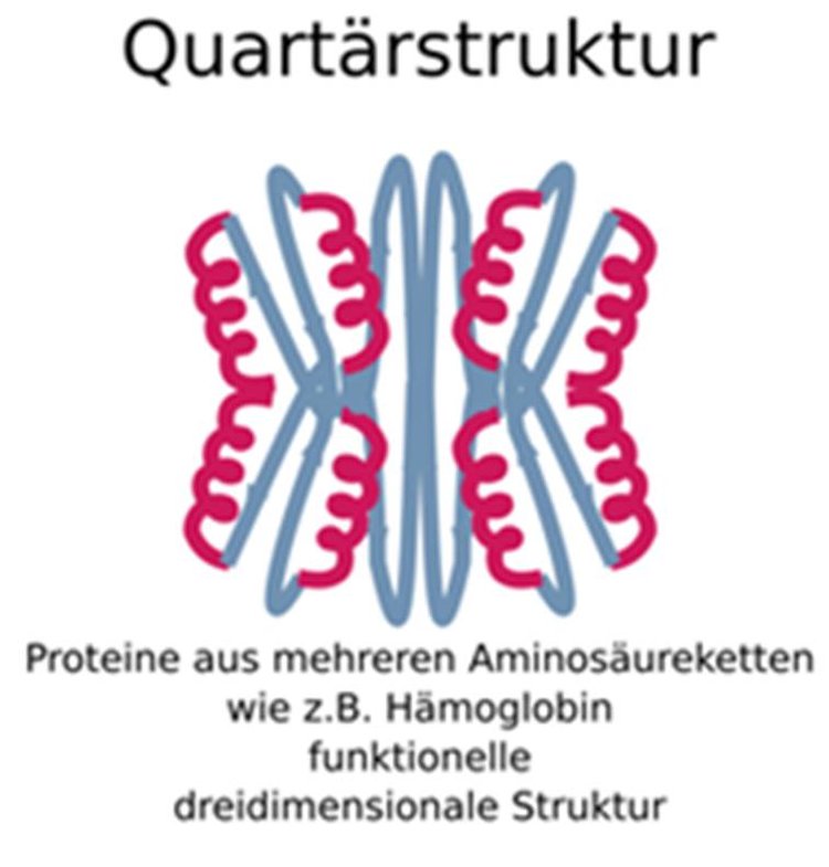 QuartÃƒÂ¤rstruktur