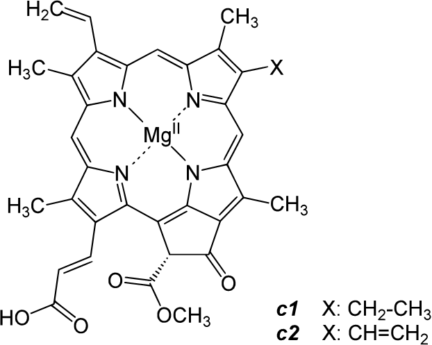 Chlorophyll c1 c2 mit Magnesium2+