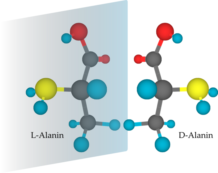 3D-Darstellung des Enantiomerenpaars L&D-Alanin