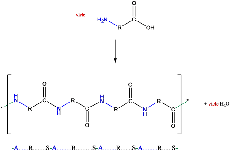 AminocarbonSäuren polymerisieren zu einem ??ASASASAS?? ? Polymer