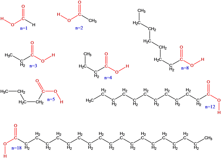 alkansäuren.wmf