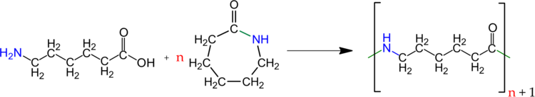 e-AminocapronsÃƒÂ¤ure und e-Caprolactam reagieren additiv zum PA6