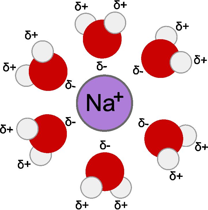 solvatisierung Na+H2O.eps