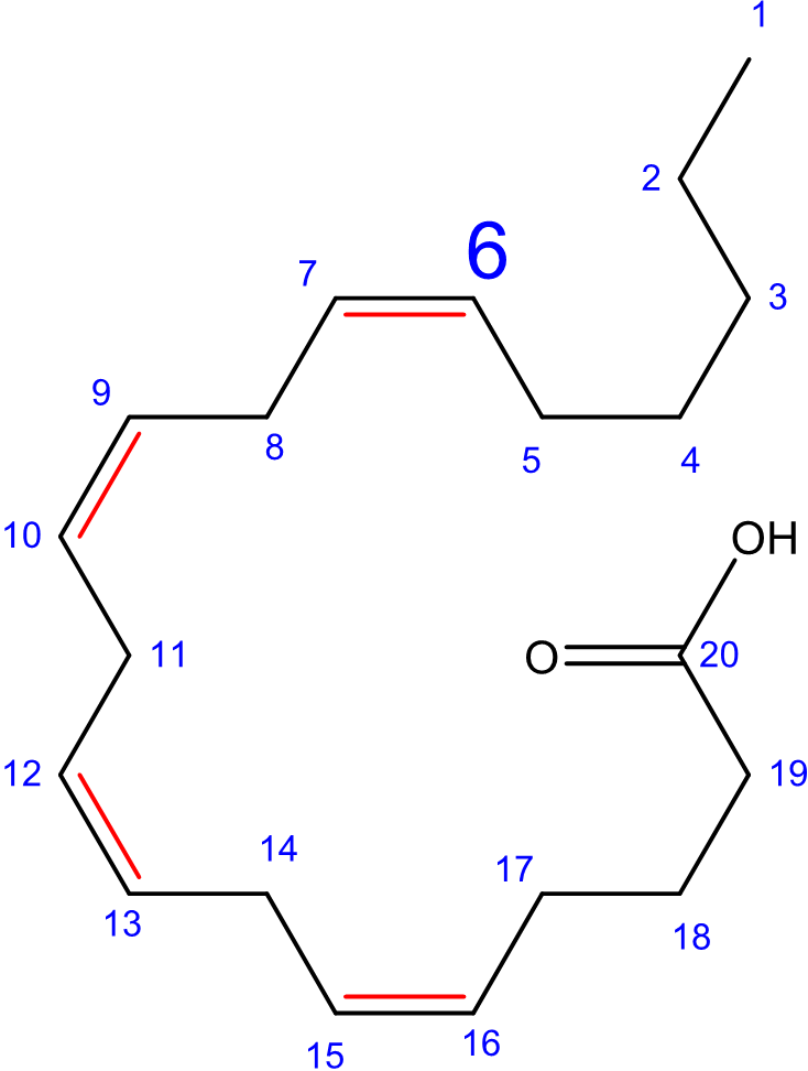 Arachidonsäure: w-6-Fettsäure