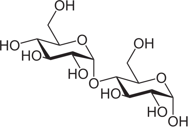 Maltose