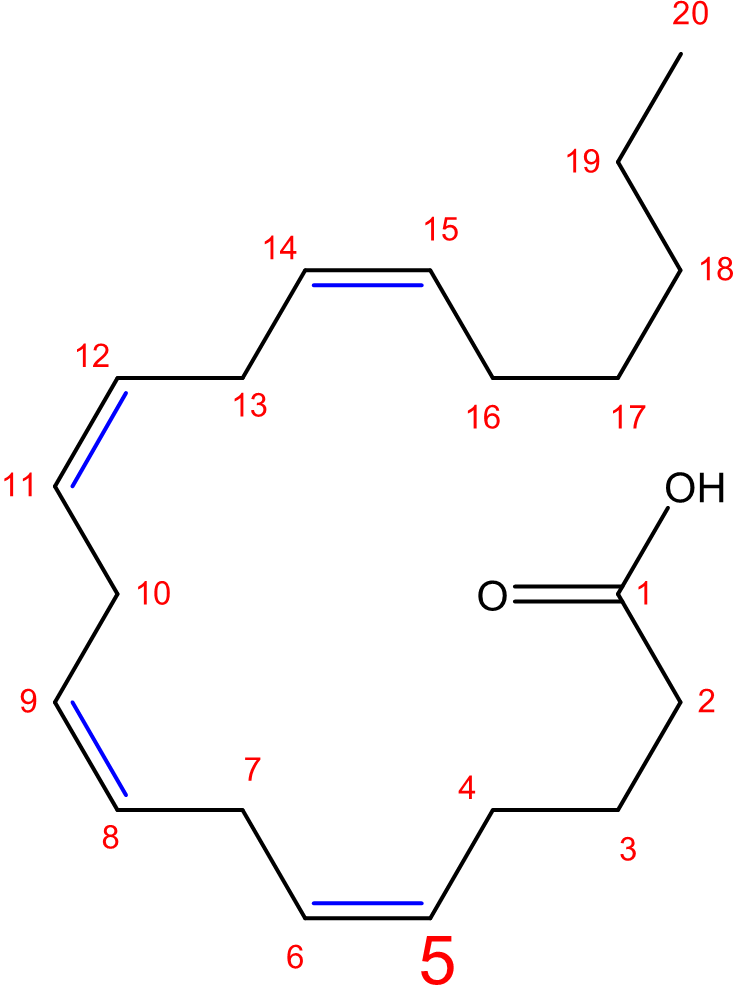 Arachidonsäure: ?-5-Fettsäure