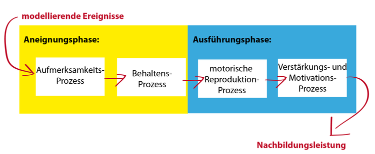 Modell-Lernen nach Bandura. Aneigungsphase und Behaltensphase bestimmen den Prozess.