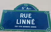 Rue Linné in Paris zu Ehren des Systematikers.