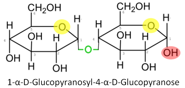 maltose-3 maltose-3
