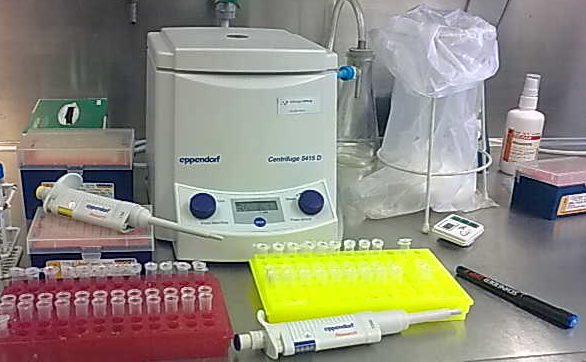 Die folgenden 5 Fotos stammen aus dem Transkriptom Analyse Labor (TAL) der UniversitÃƒÂ¤tsmedizin GÃƒÂ¶ttingen. Im ersten Schritt werden die Proben einer unverÃƒÂ¤nderten Hautzelle und einer durch Krebs verÃƒÂ¤nderten Zelle vorbereitet.