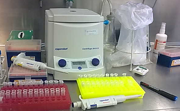Die folgenden 5 Fotos stammen aus dem Transkriptom Analyse Labor (TAL) der Universittsmedizin Gttingen. Im ersten Schritt werden die Proben einer unvernderten Hautzelle und einer durch Krebs vernderten Zelle vorbereitet.